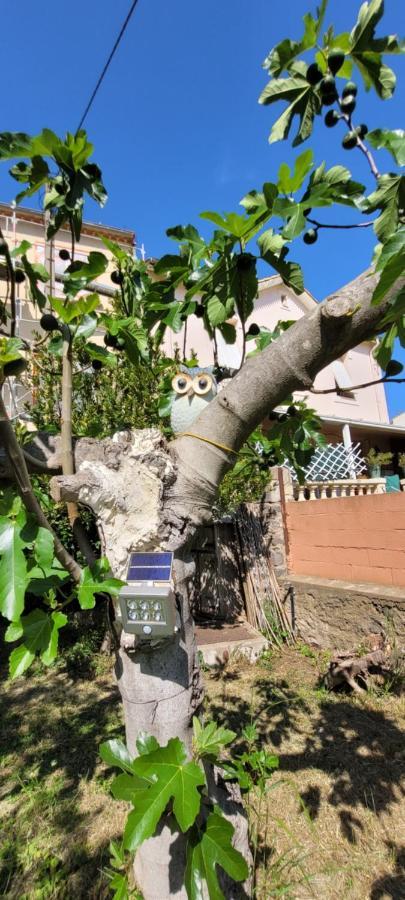 Chez Regine Otel Agde Dış mekan fotoğraf